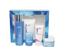 雅蘭絲化妝品 產品圖片、店鋪裝修及軟件輔助設備全攻略