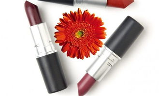 博成化妝品 產(chǎn)品展示與店鋪裝修的系統(tǒng)化計(jì)算機(jī)解決方案